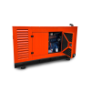 Генератор дизельний Uzman IYI-R-55 Ricardo ZH4102ZD 55 KVA/46KW, трифазний 230/400V, 50Hz, об'єм 100л, 2200x1000x1500 мм (AVR+ATS)